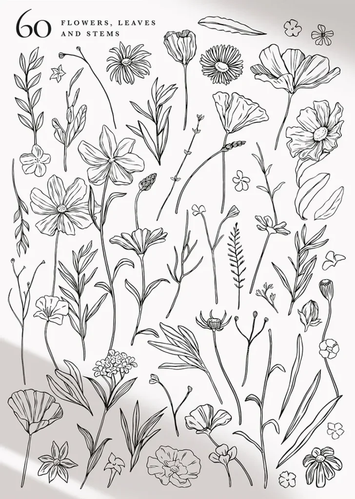 Black and white flower png previews