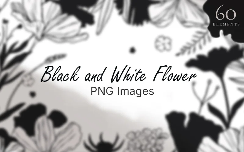 Black and White Flower PNG Freebie